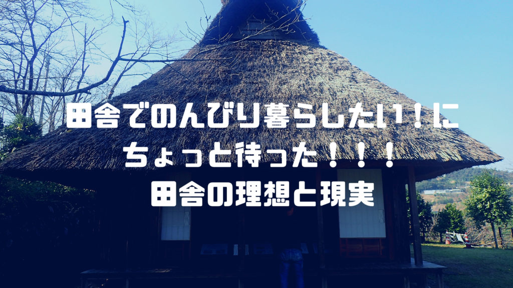田舎の現実 田舎暮らしは のんびり って幻想なの 移住3年目の私が感じた理想とのギャップ セイカの暮らし便り