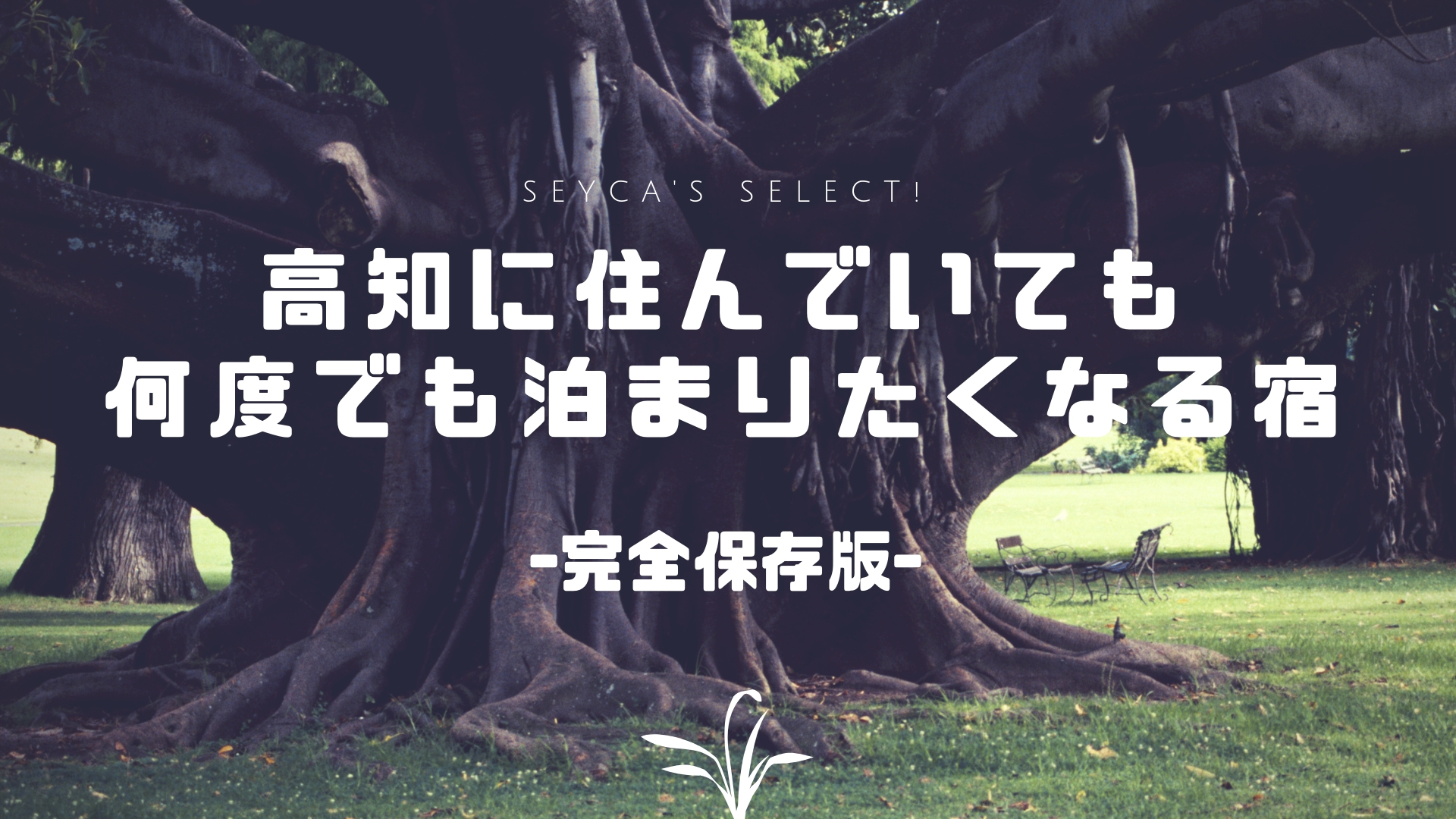 高知県民イチオシ 高知で宿泊するなら絶対泊まってほしいおすすめの宿を厳選 保存版 セイカの暮らし便り