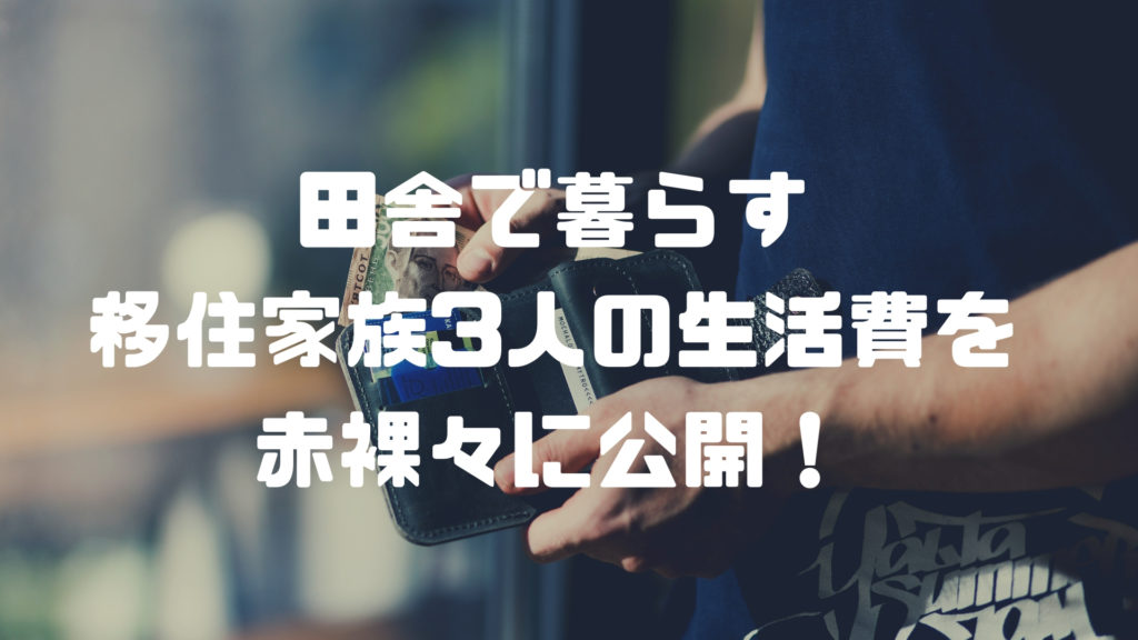 田舎の生活費って高い 限界集落で暮らす3人家族の家計の内訳を赤裸々に公開 セイカの暮らし便り