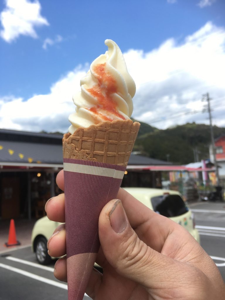 村の駅ひだか アイス