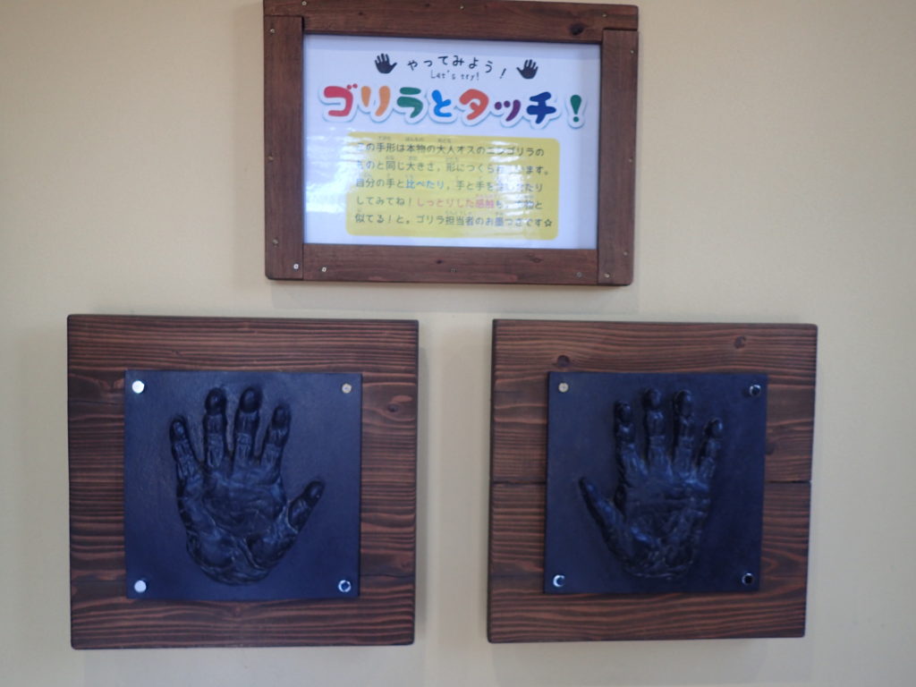京都市動物園 子連れ