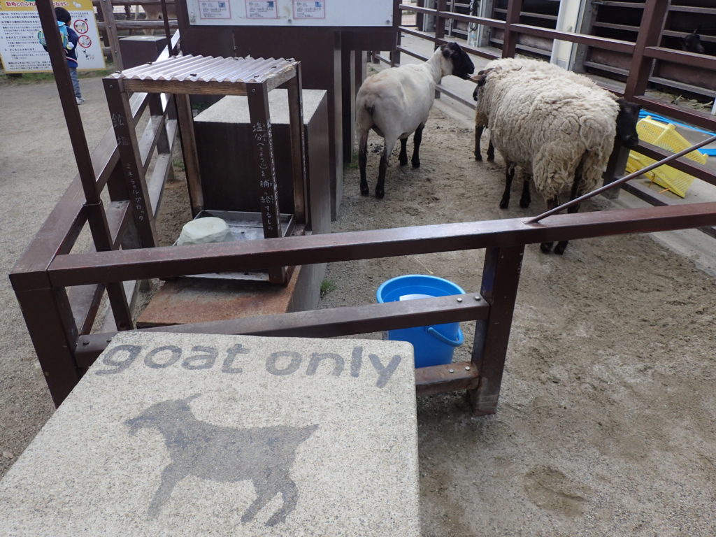 京都市動物園 子連れ