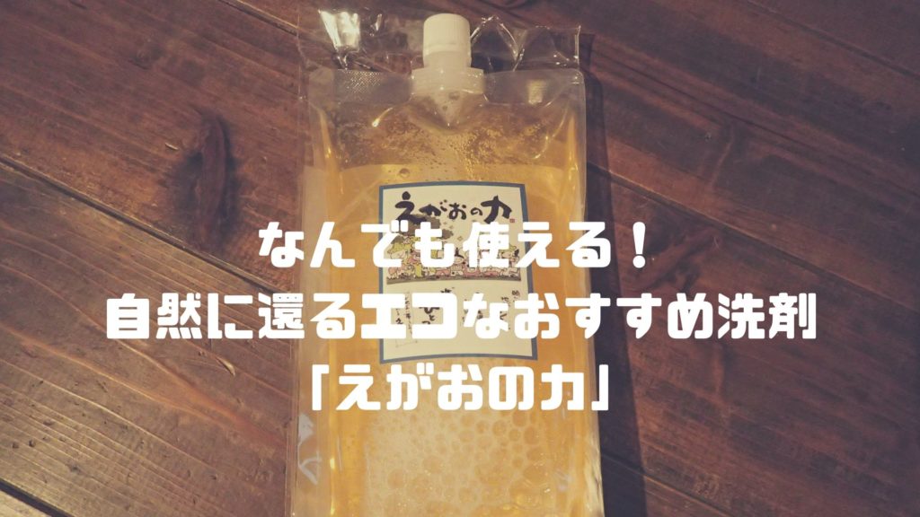 植物油由来成分からできた濃縮自然派洗剤「えがおの力(旧松の力)」4L 「えがおの力（旧松の力）」18L お徳用 植物油由来成分