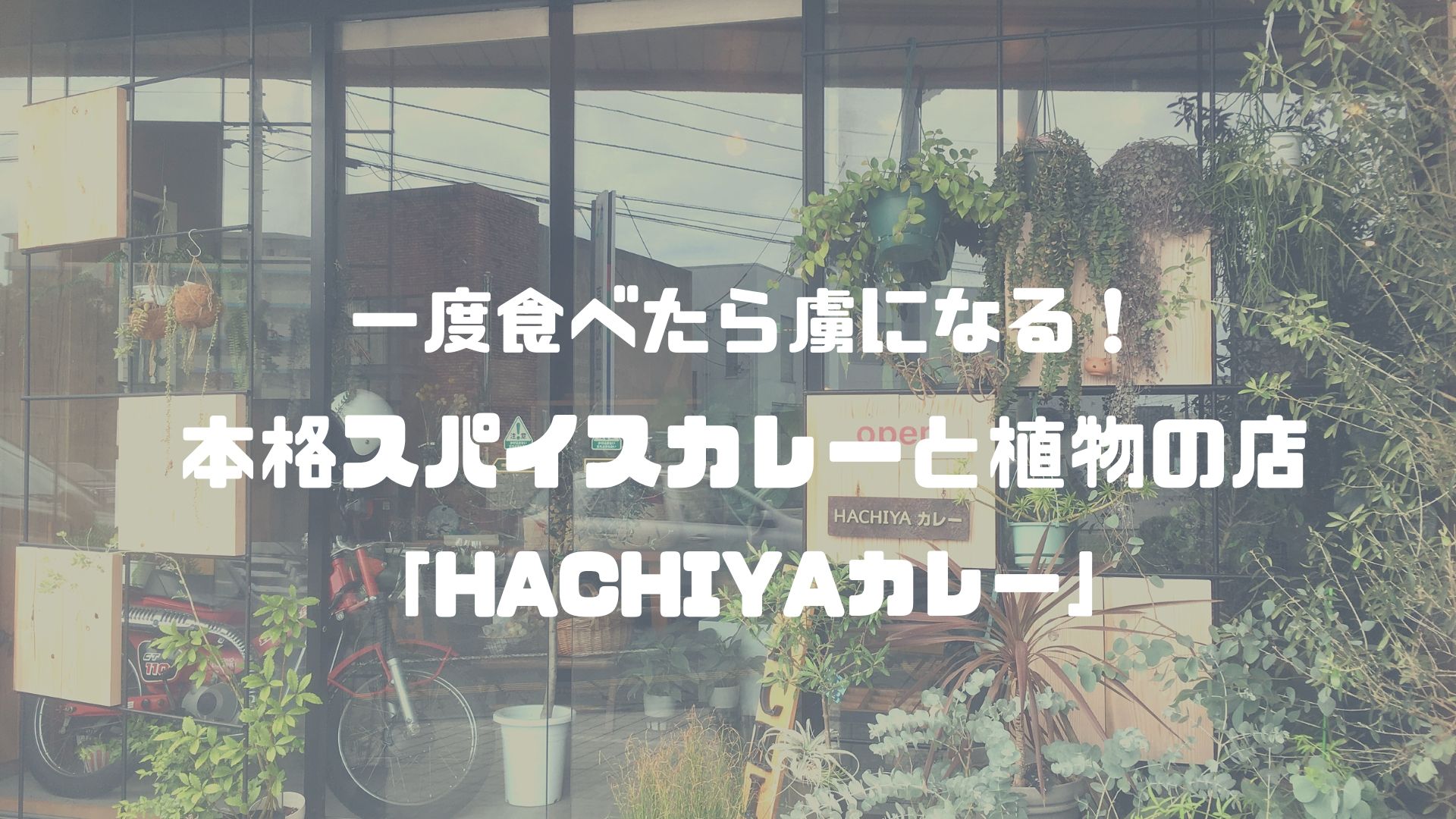 高知 南国バイパス沿いにある スパイスカレーの店 Hachiyaカレー は合がけがおすすめ 店内もおしゃれ セイカの暮らし便り