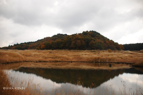DSC_4401